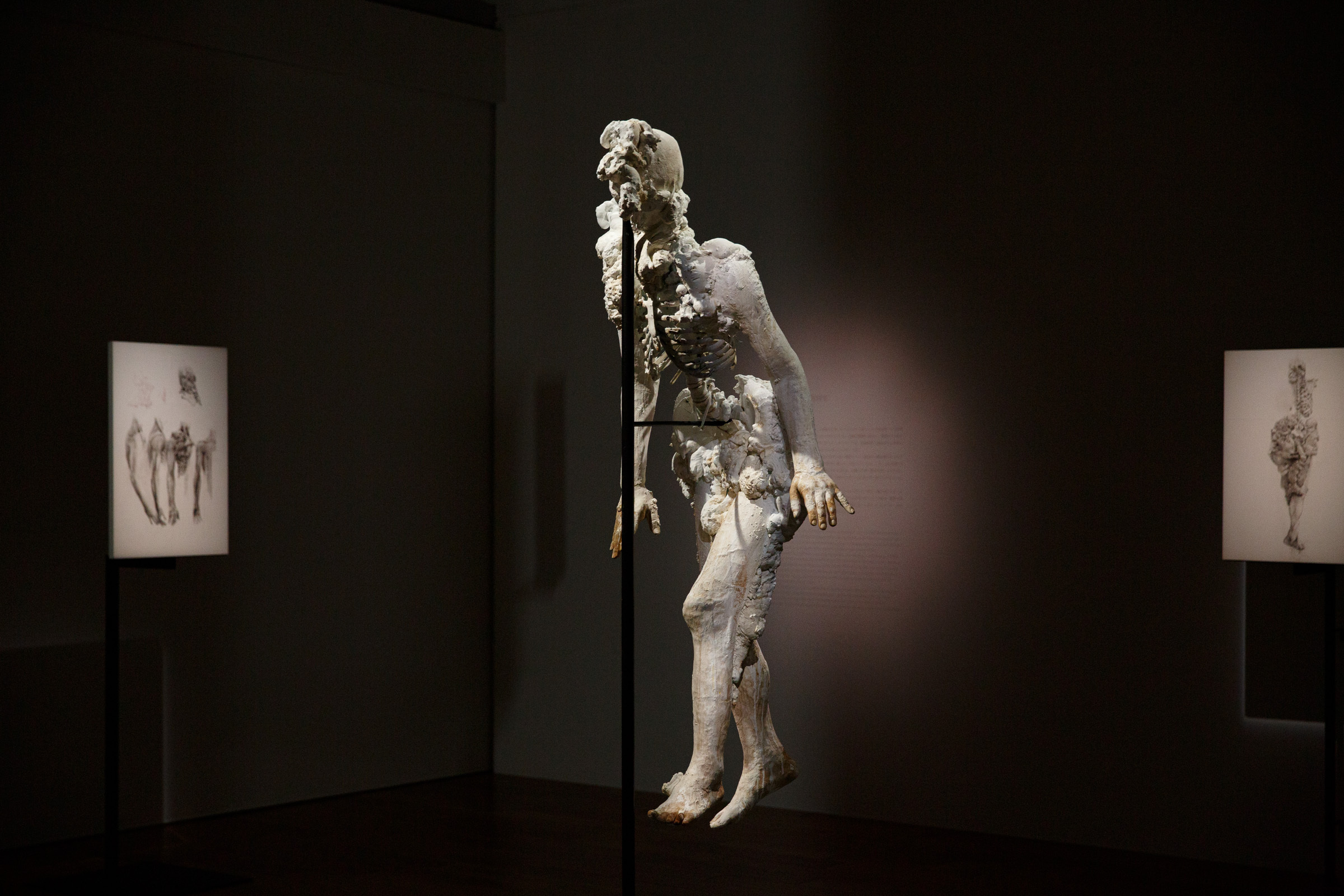 諏訪敦｜きみはうつくしい