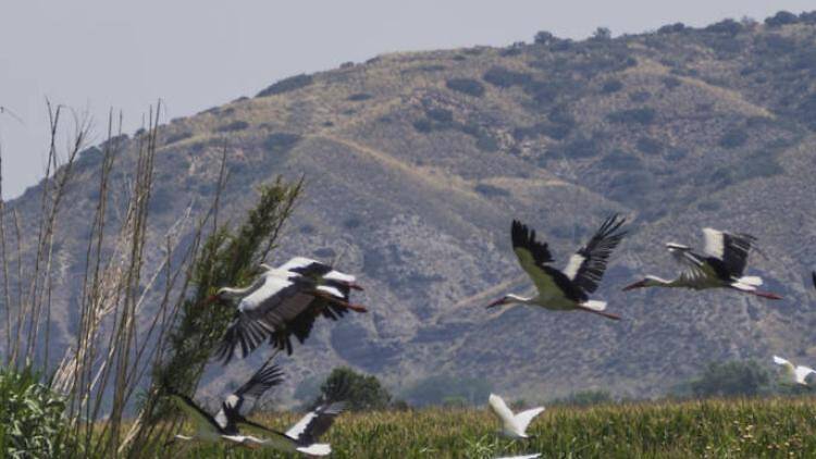 Laguna de Soto-Gutiérrez (foto: Visit Madrid).