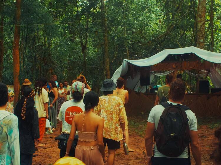 Mycelium Festival