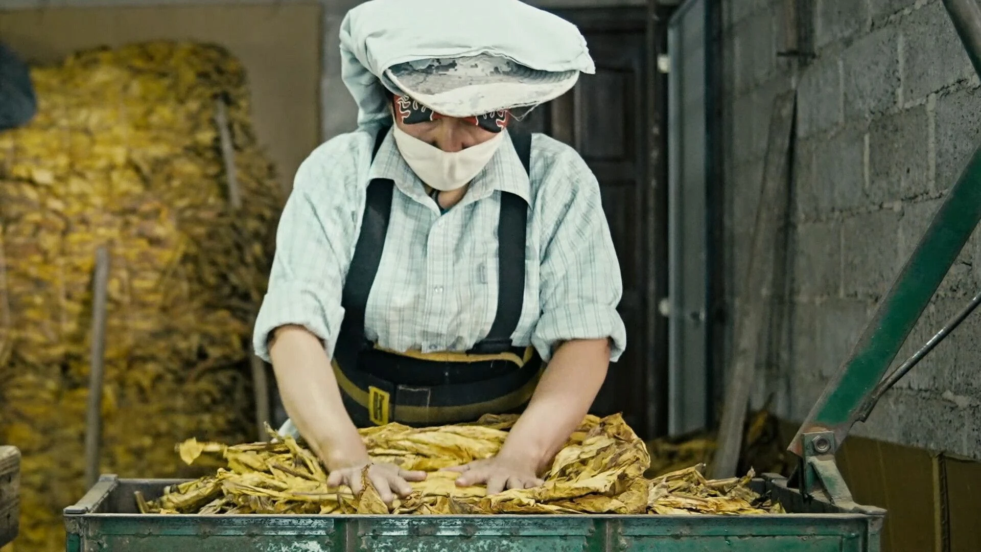 WACAY, tierra de mujeres del tabaco. Mar&iacute;a Bel&eacute;n Revollo
