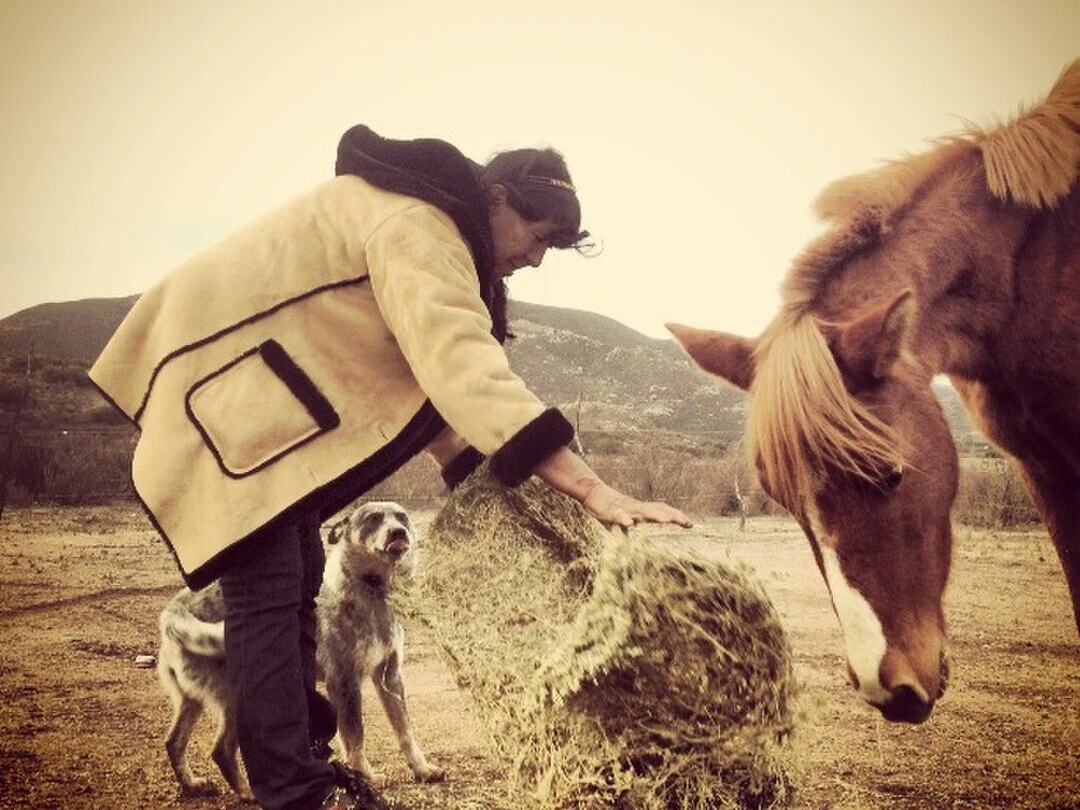 Tierra Kumeyaay. Dylan Verrechia