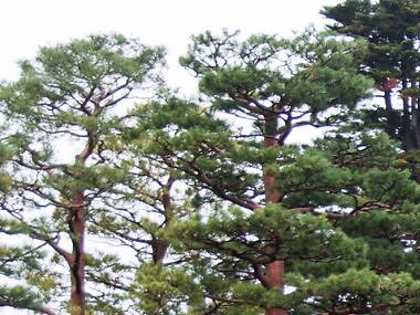 Dónde viajar: los lugares más infravalorados del mundo Dónde viajar: los lugares más infravalorados del mundo