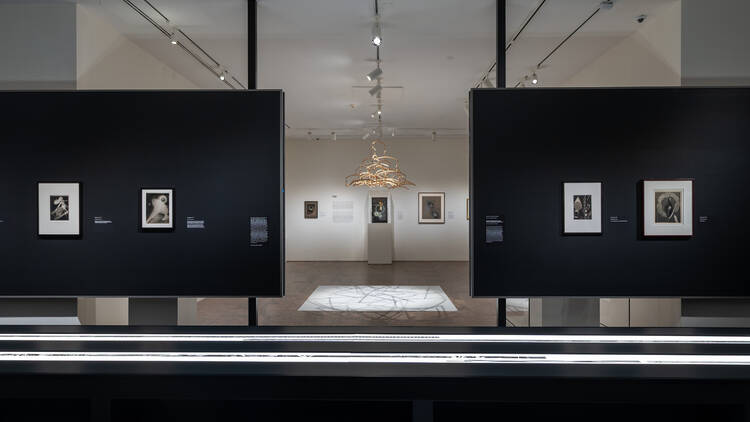 Photographs on a black wall at a museum exhibit.