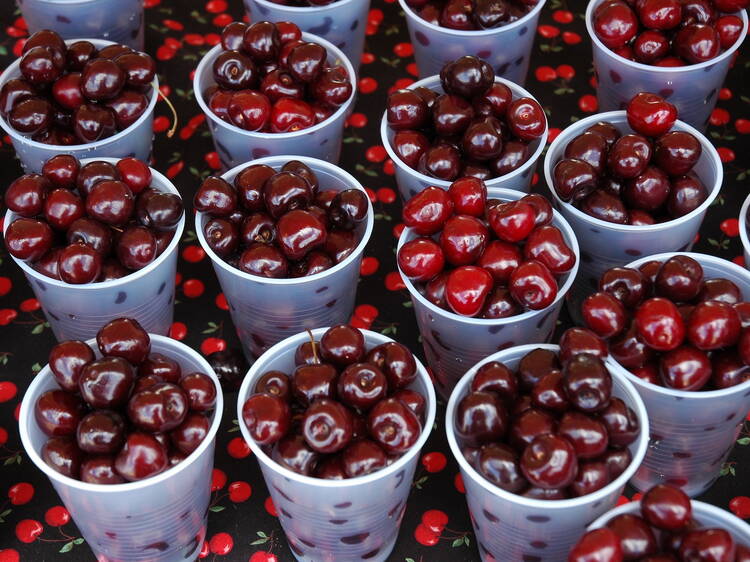 National Cherry Festival | Traverse, MI