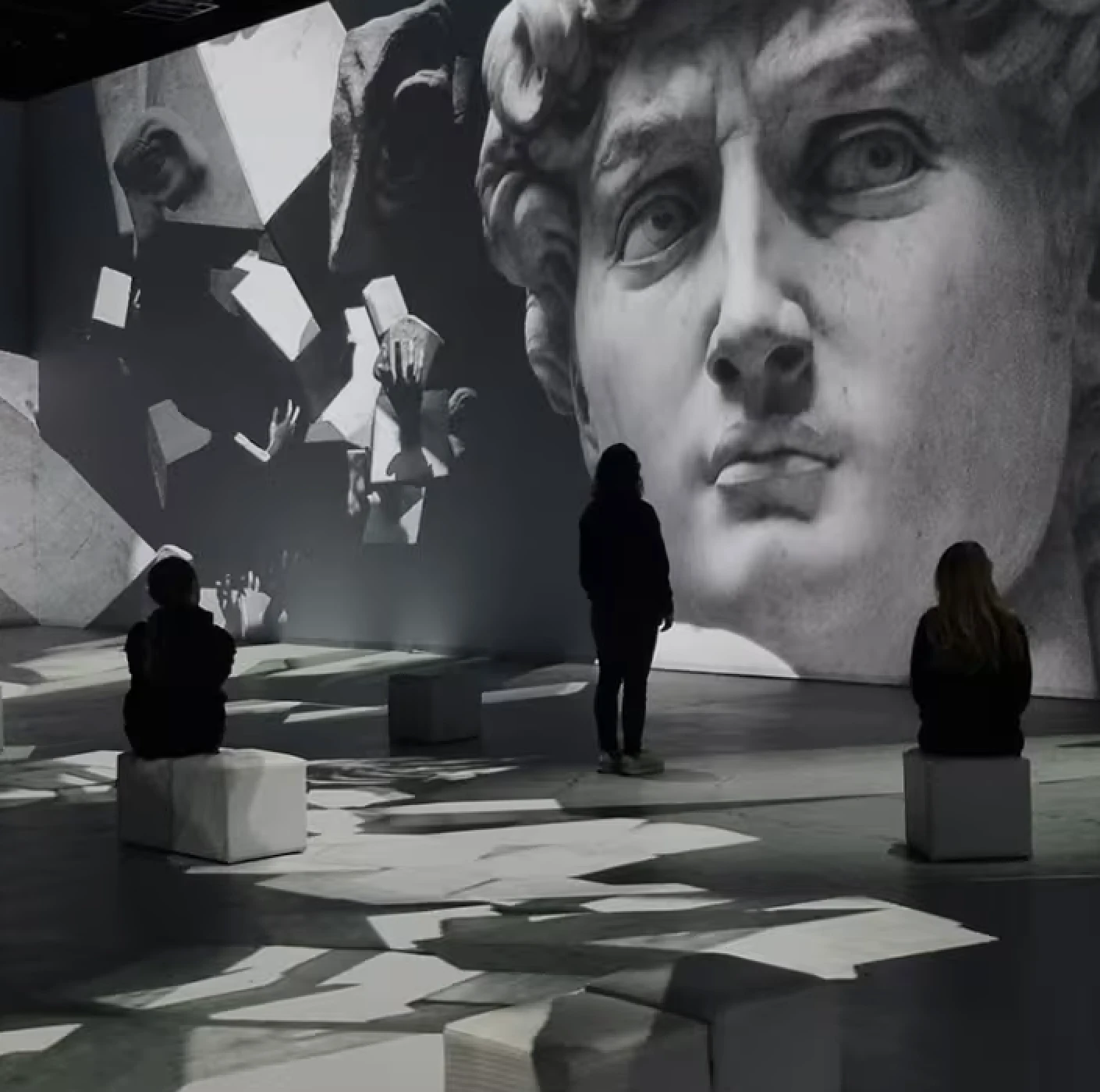 'Leonardo versus Michelangelo' I IDEAL