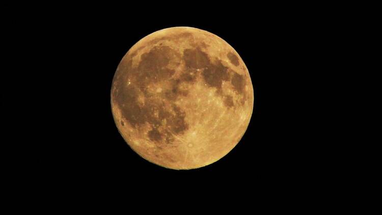 Harvest moon