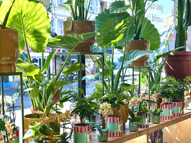 Pick up some plants at The Nunhead Gardener