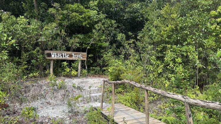 Hike up nature trails