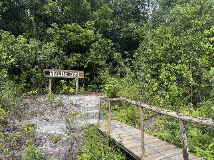 Hike up nature trails