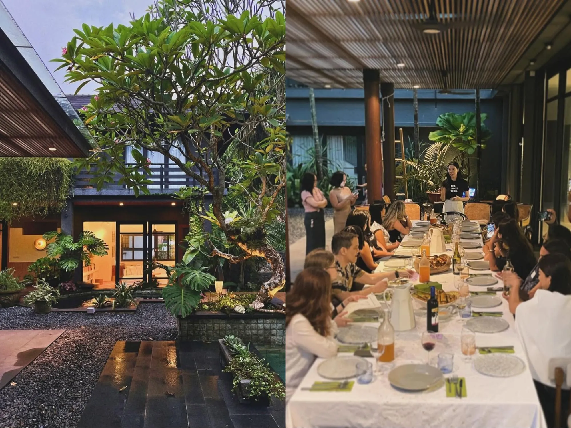 Fork In The Jungle