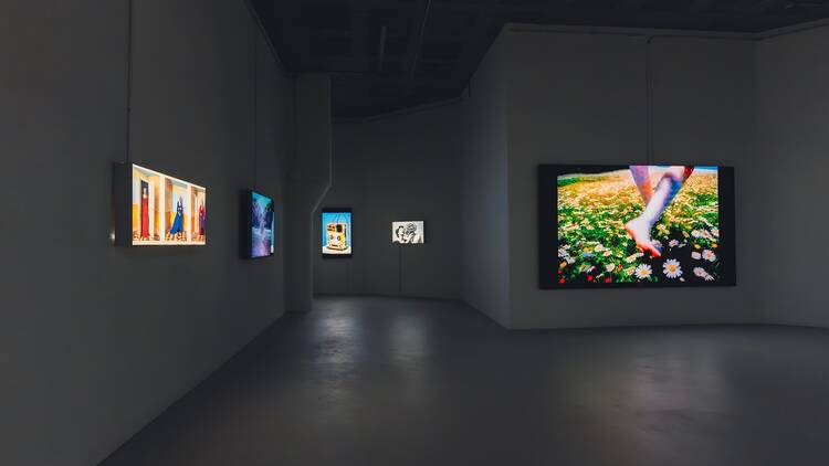 Botto: The Art of Collective Minds