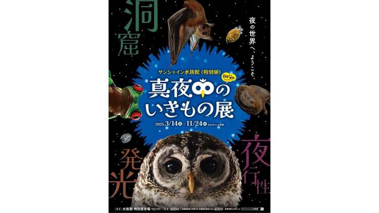 真夜中のいきもの展 真夜中のいきもの展