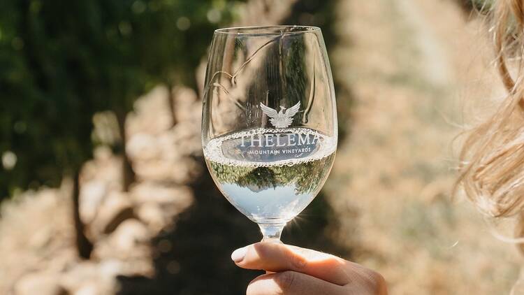 Thelema Mountain Vineyards, Stellenbosch