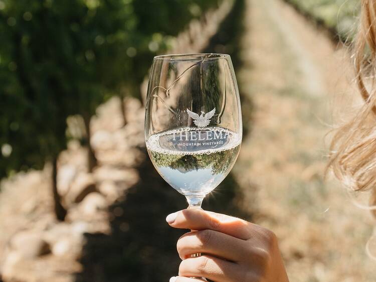 Thelema Mountain Vineyards, Stellenbosch