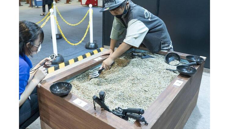 わけあって絶滅しました。展