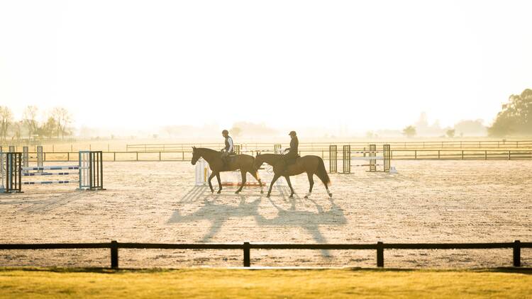 Montana Farm Masters in Cardales