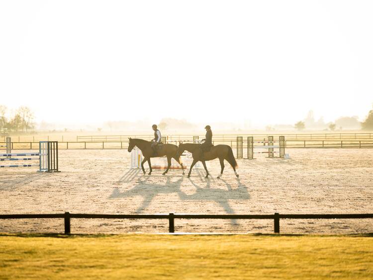 Montana Farm Masters in Cardales