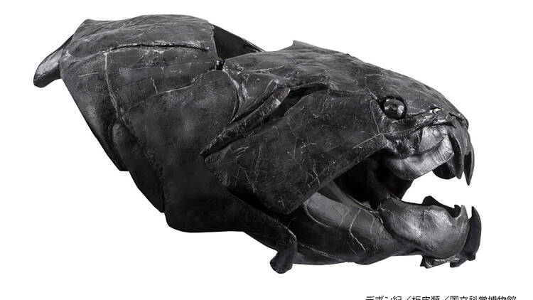 大絶滅展―生命史のビッグファイブ