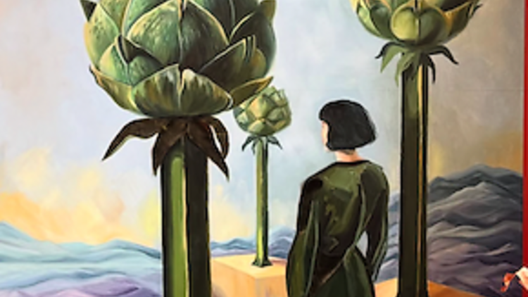 Cansu Sönmez, Cynara