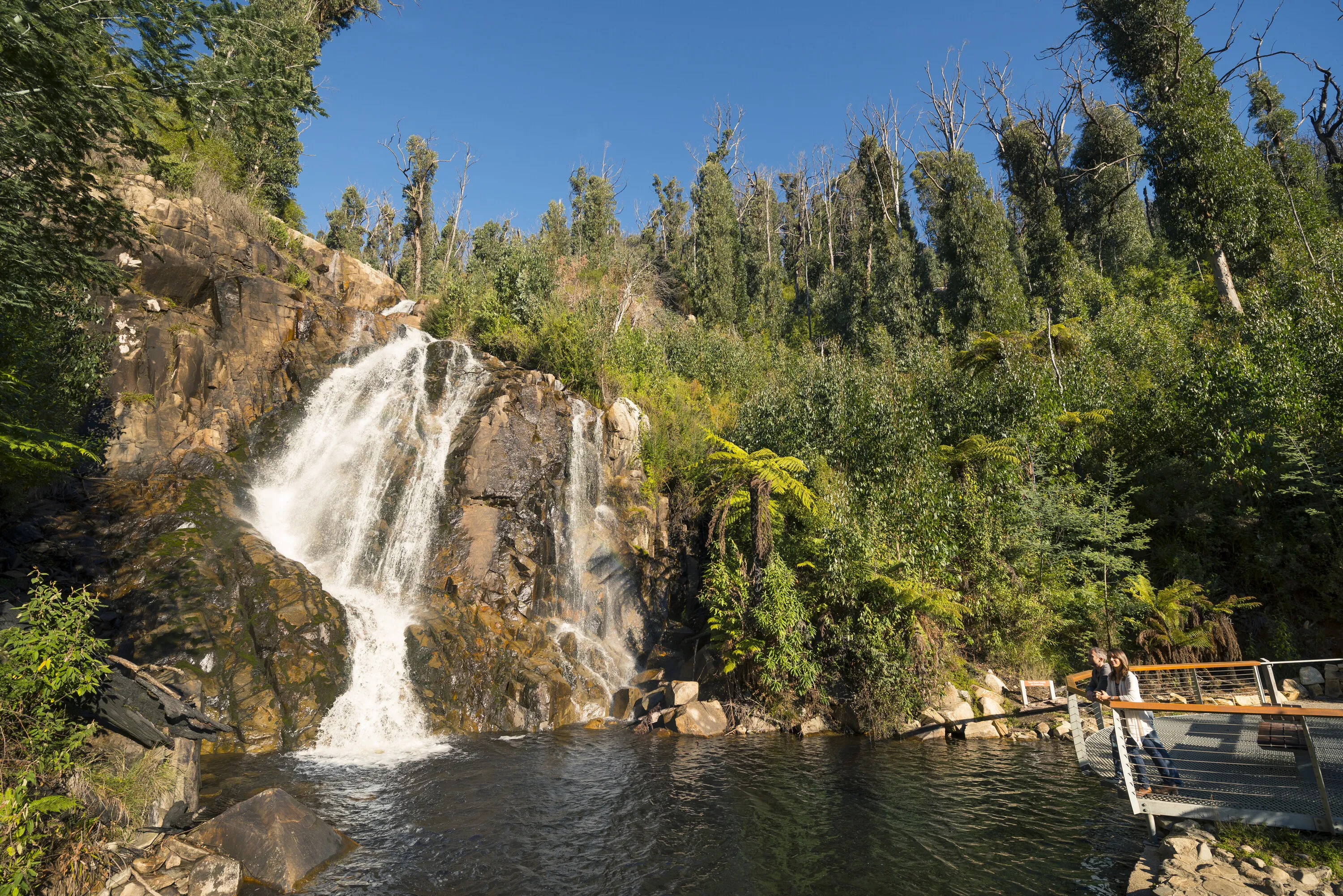 Steavenson Falls - Marysville