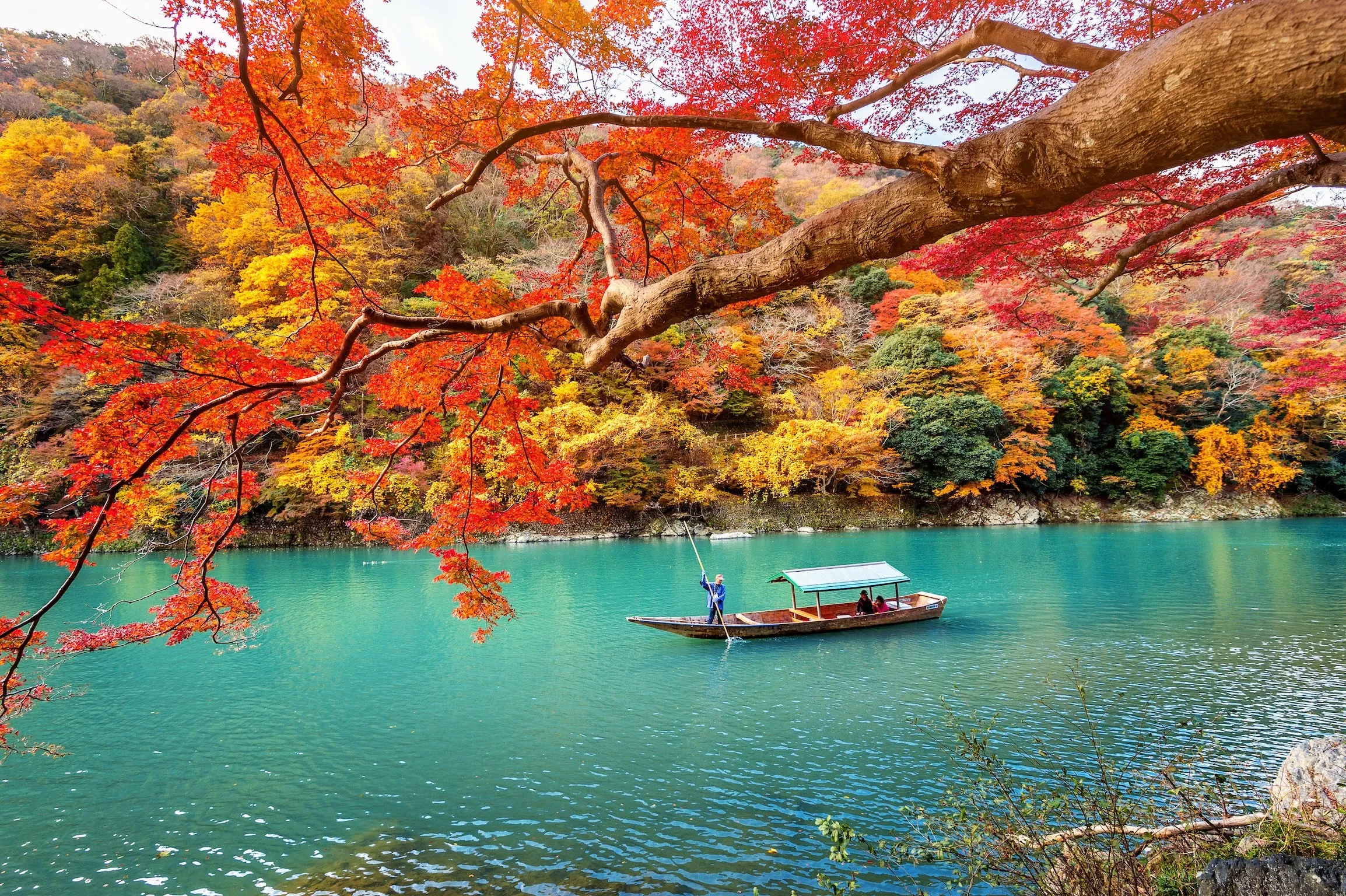 Boatman punting the boat at river. Arashiyama in autumn season along the river in Kyoto, Japan.