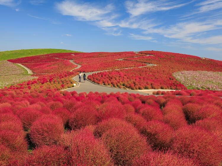 Ibaraki Prefecture, Japan