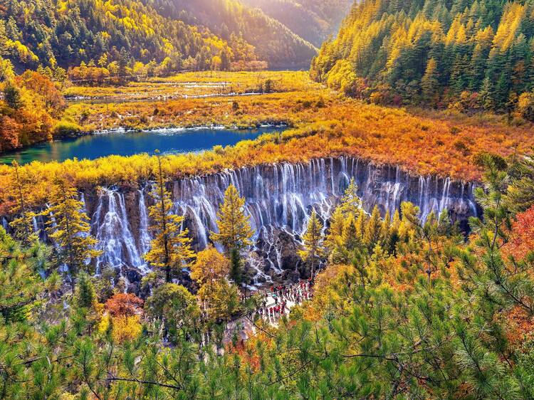 The best places to see beautiful autumn foliage in Asia