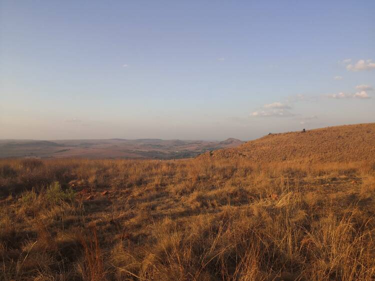 The Cradle of Humankind