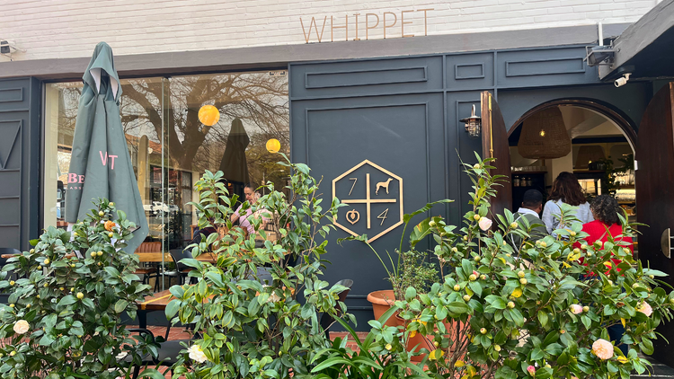 The Whippet