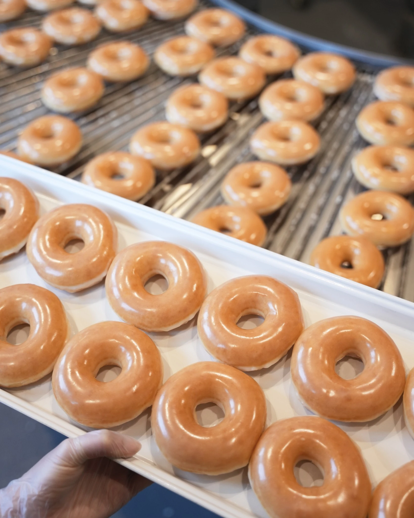 Krispy Kreme Doughnuts