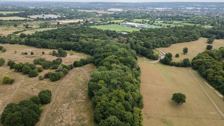 Whitewebbs Park, Enfield, London