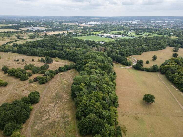 The quiet, leafy north London area that could get 10,000 new homes