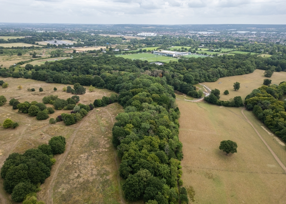 This quiet, leafy north London area could get 10,000 new homes