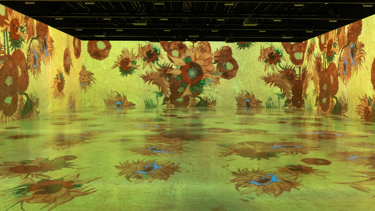 Van Gogh: Işığında İzinde Van Gogh: Işığında İzinde