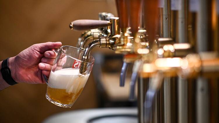 Beer and pub taps