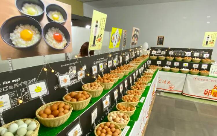 卵フェス 卵フェス