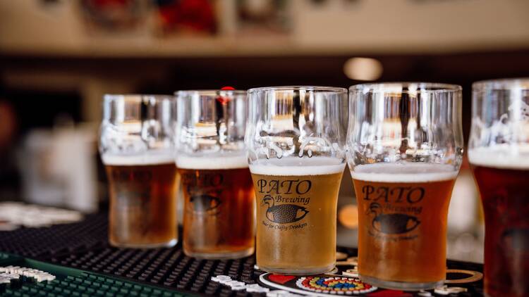 Craft beer in Cascais: a well-poured guide