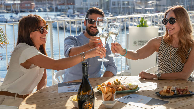 People cheersing with glasses of Prosecco