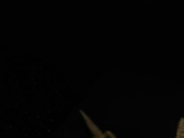 I’m a scaredy-cat who went to Universal Studios’ Halloween Horror Nights for the first time—and now I can’t wait to go back I’m a scaredy-cat who went to Universal Studios’ Halloween Horror Nights for the first time—and now I can’t wait to go back