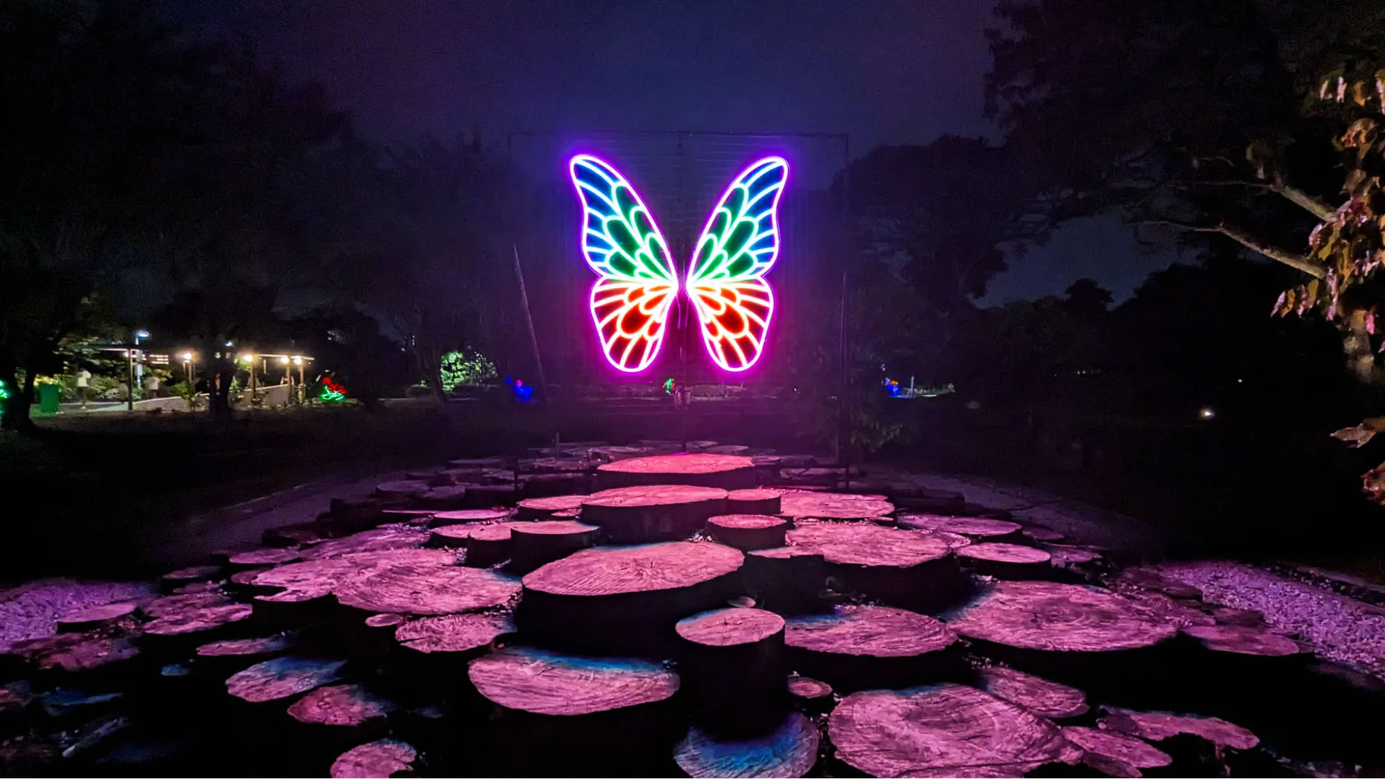 Lights by the Lake 2025