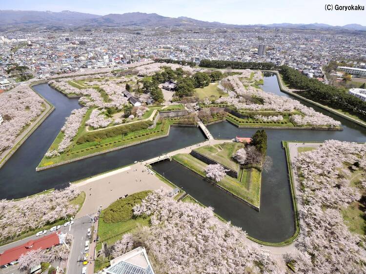 新時代の幕を開いた古戦場を見下ろす。 新時代の幕を開いた古戦場を見下ろす。