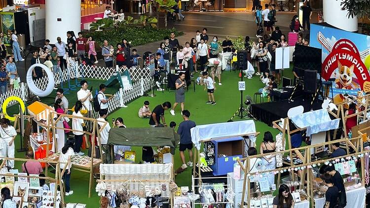 Pets Social Ground