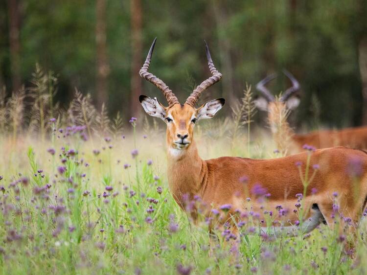 How to explore South Africa for just R500 a day