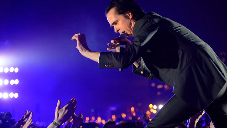 Nick Cave performing live