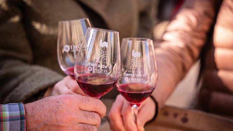 Festa del Vi Català