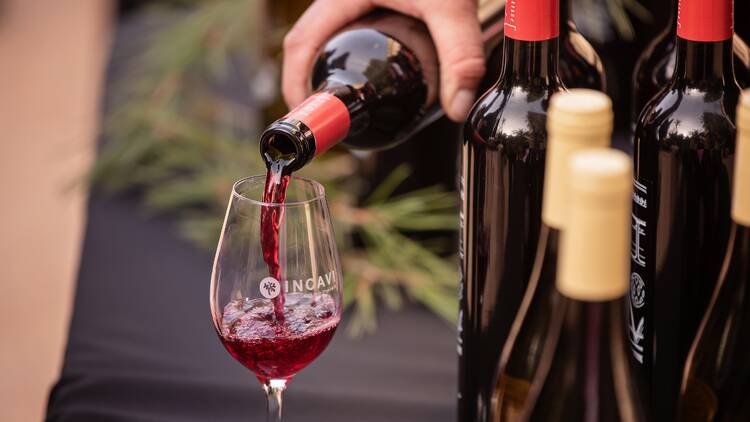 Festa del Vi Català