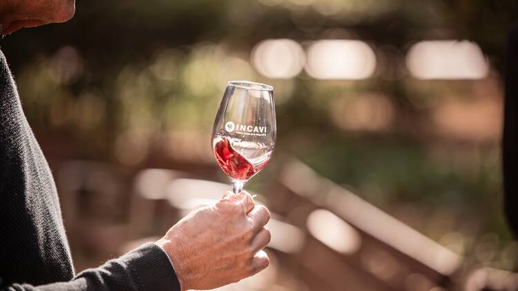 Festa del Vi Català