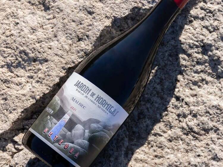 Meteora Malbec - Altos las Hormigas