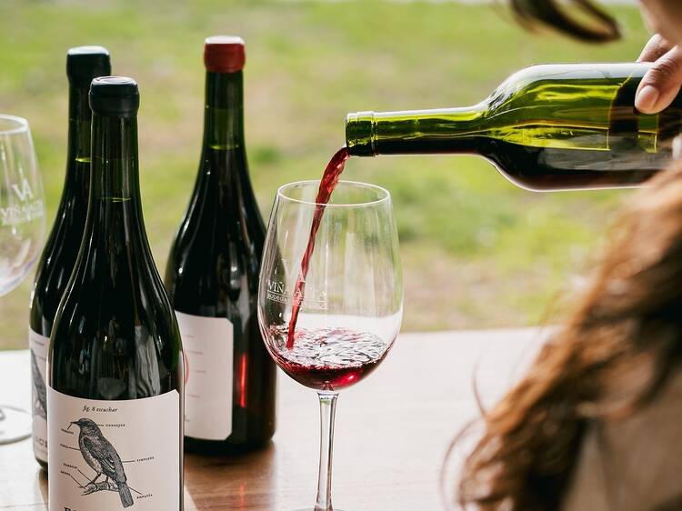 Esencial Ancellotta - Bodega Viña Alta