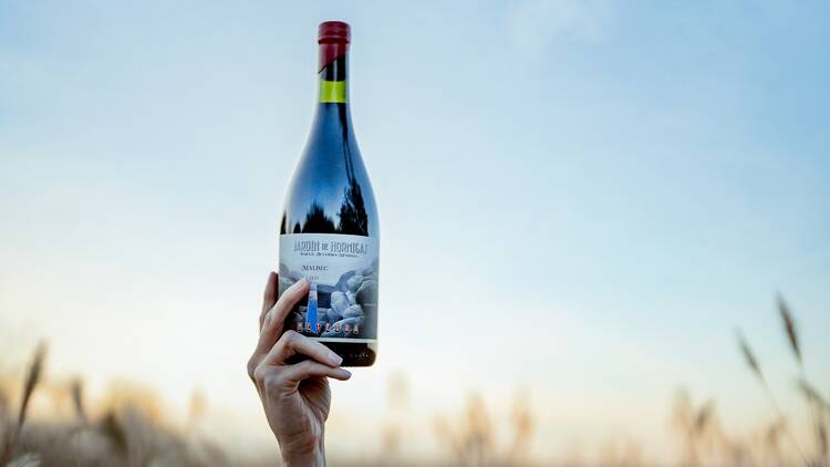 Spring Wines: 10 Bottles Chosen by Sommelier Constanza Chiarelli